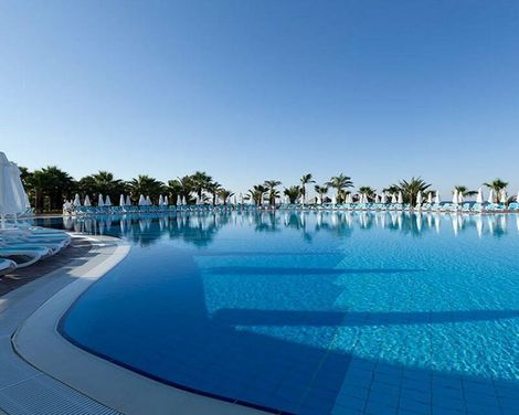 Paloma Oceana