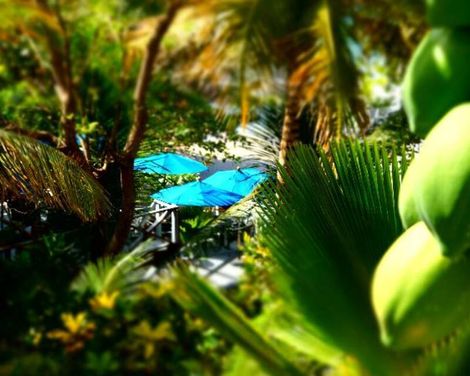 Bacolet Beach Club-2