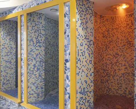 Hotel Terme Alexander