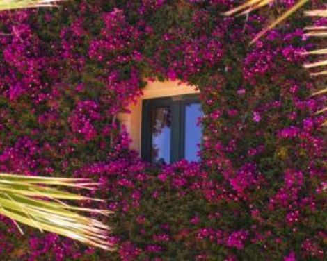 Gozo Village Holidays-2