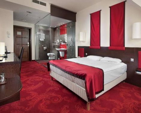 Rubin Wellness & Conference Hotel 