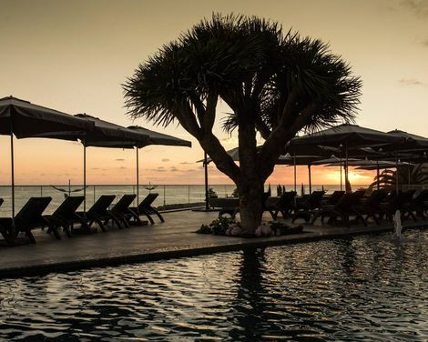 Saccharum Resort