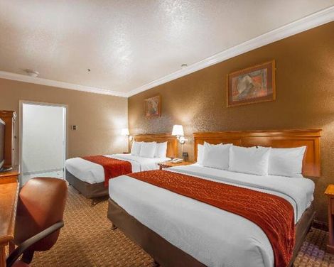 Comfort Inn & Suites San Francisco Airport North