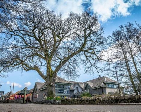 Oak Tree Inn