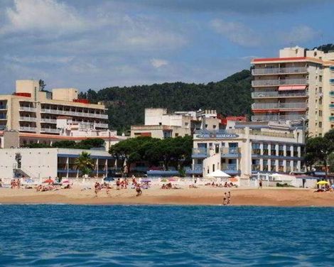 Amaraigua