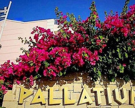 Pallatium Apartments