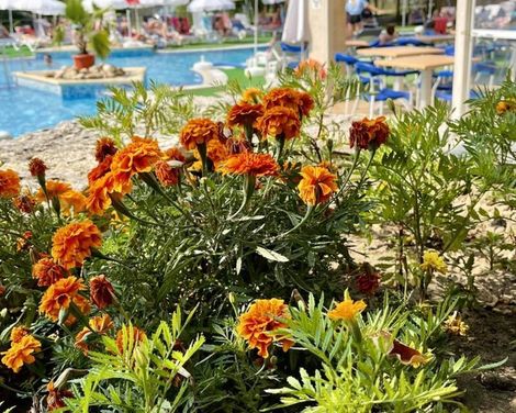 BSA Holiday Park Hotel-0