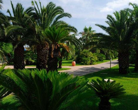 Gran Serena Hotel