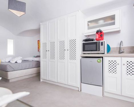 Exclusive Plan Suites-1