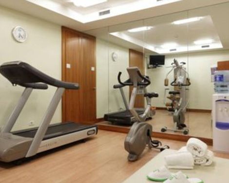 Holiday Inn Milan Nord - Zara-2