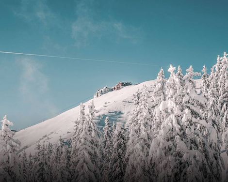 HAIDVOGL MAVIDA Zell am See