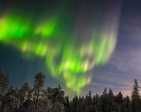 Vaattunki Wilderness Resort incl. Transfer & Husky & Nordlichter Tour-0