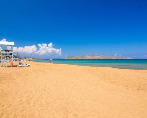 Creta Palm-0