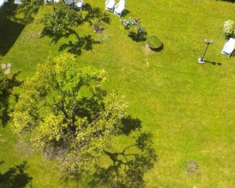 Massimi City Garden Hotel