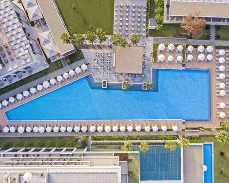 Acanthus Cennet Barut Collection