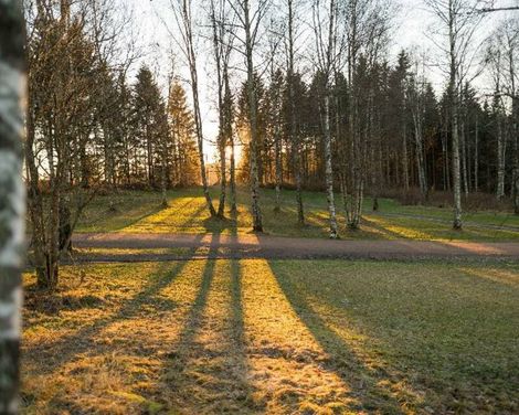 Olympiatoppen Sportshotel, Part of Scandic-2