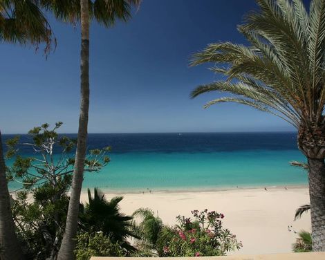 IFA Altamarena by Lopesan Hotels-3