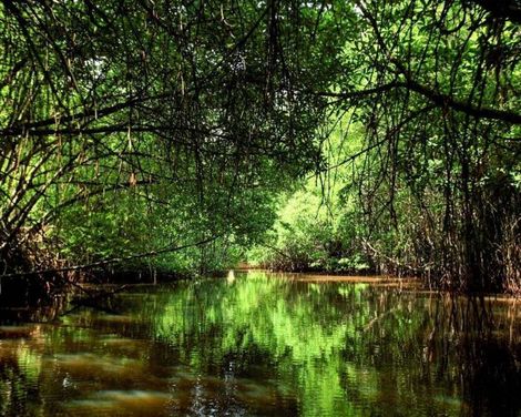 NH Bentota Ceysands Resort