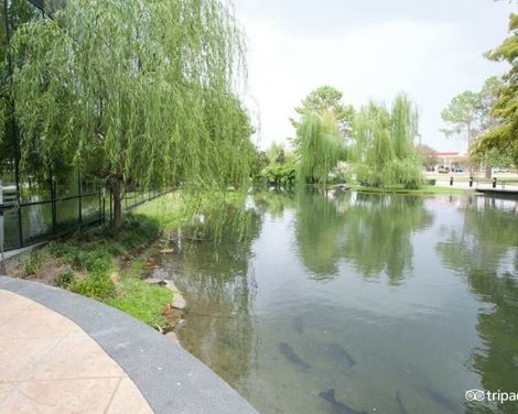 Hyatt Regency Houston West-1