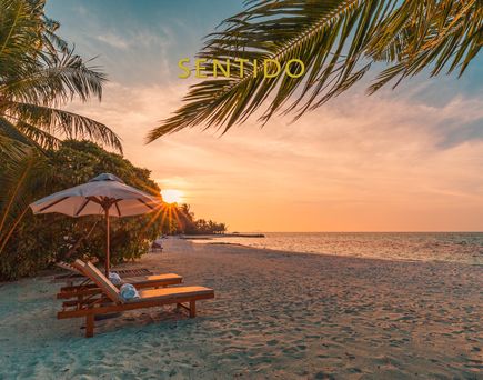 Sonnenliegen und -schirme an einem tropischen Strand bei Sonnenuntergang