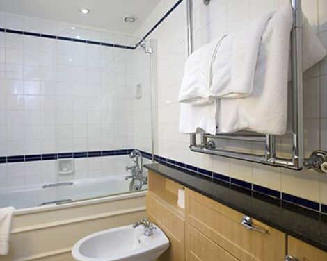 15 Basil Street-3