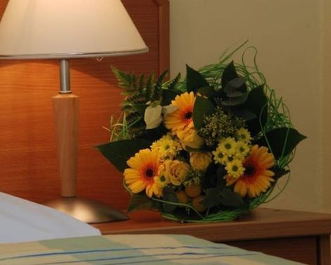 EA Hotel Tosca-2