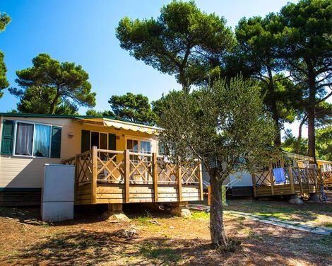 Arena Indije Campsite