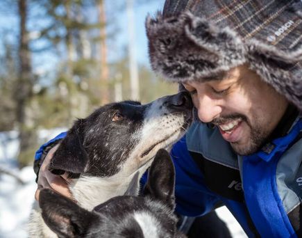 Hotel Ylläsrinne Deluxe incl. Transfer, Husky & Nordlichter Tour