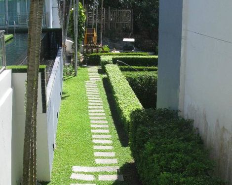 Sugar Palm Grand Hillside-2