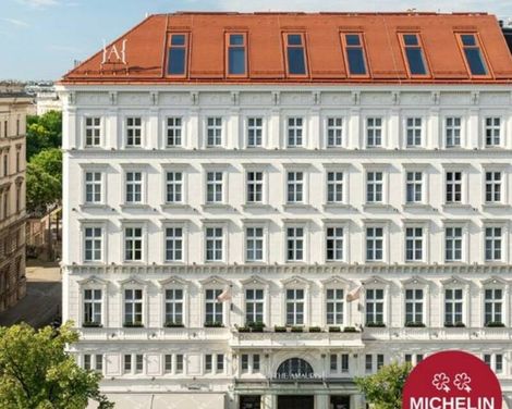 The Amauris Vienna-1