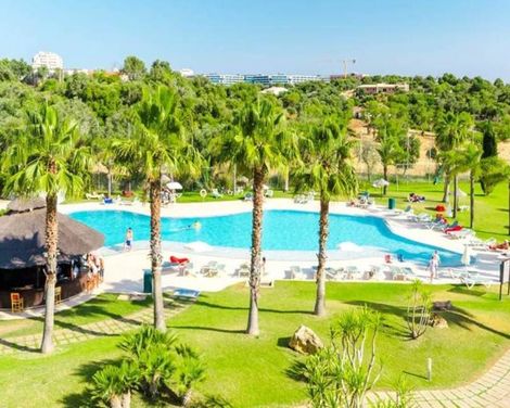 The Navigator - Palm Oasis Alvor
