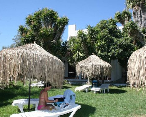 Oasis Hotel & Bungalows-0