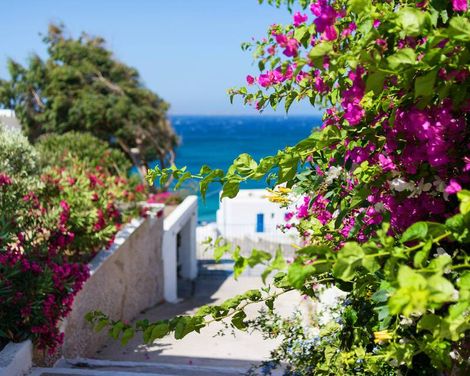 Alkistis Hotel Mykonos