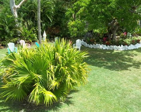 Palm Garden Hotel-0