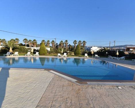 Rena Studios