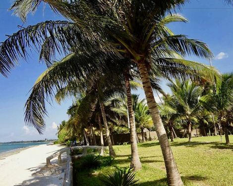 Oceanic Bay Hotel & Resort
