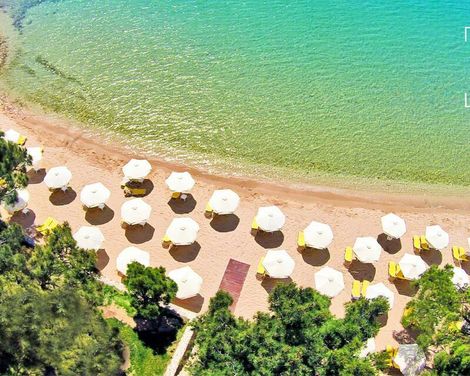 Royal Paradise Beach Resort & Spa-2
