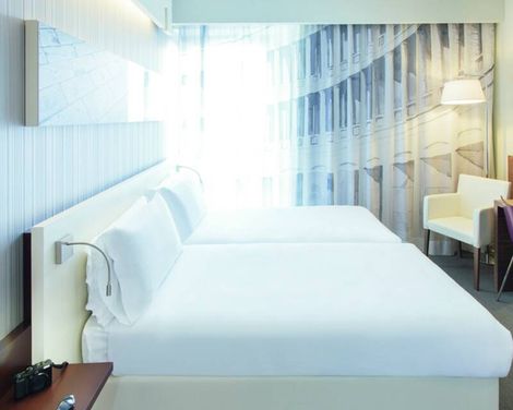 Ibis Styles Roma Eur