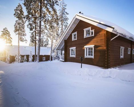 Ounasvaaran Lakituvat incl. Transfer & Husky & Nordlichter Tour-3