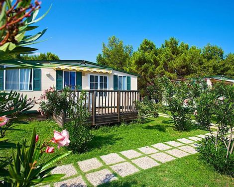 Arena Stupice Campsite